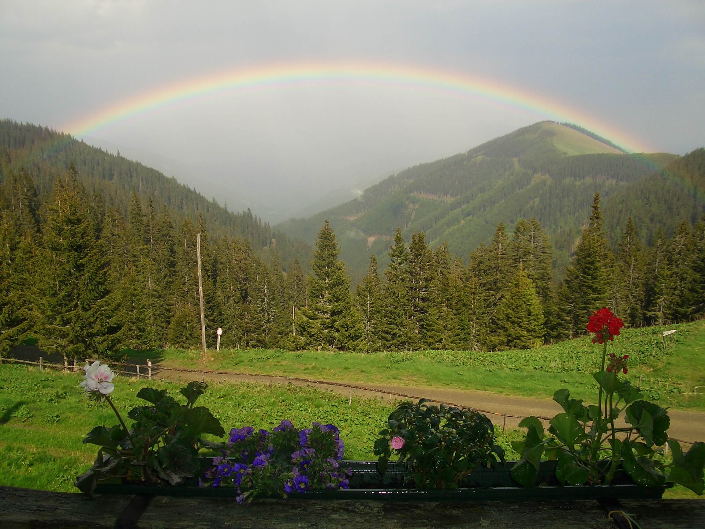 Regenbogen im Tal